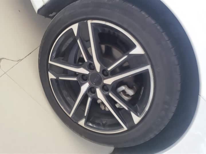 Фото 6 - Geely Binrui