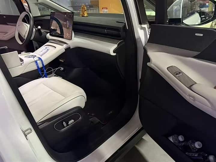 Фото 5 - XPeng X9