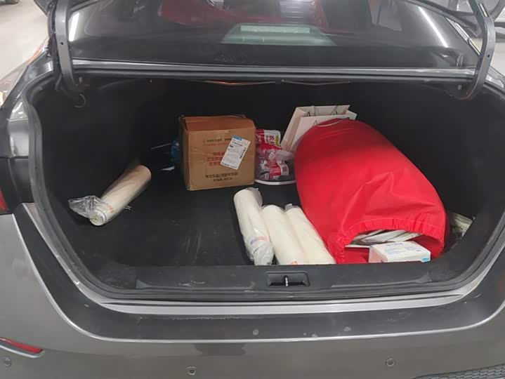 Фото 4 - Nissan Sylphy