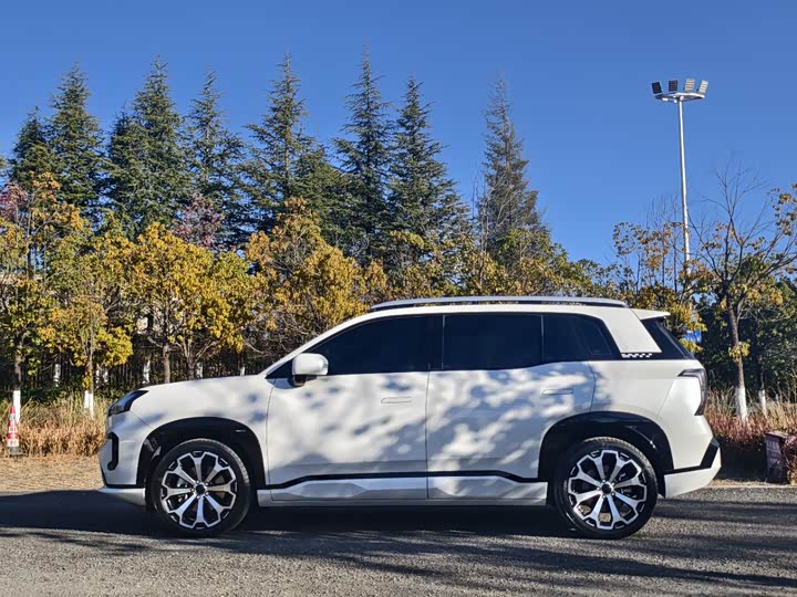 Фото 4 - GAC Aion V