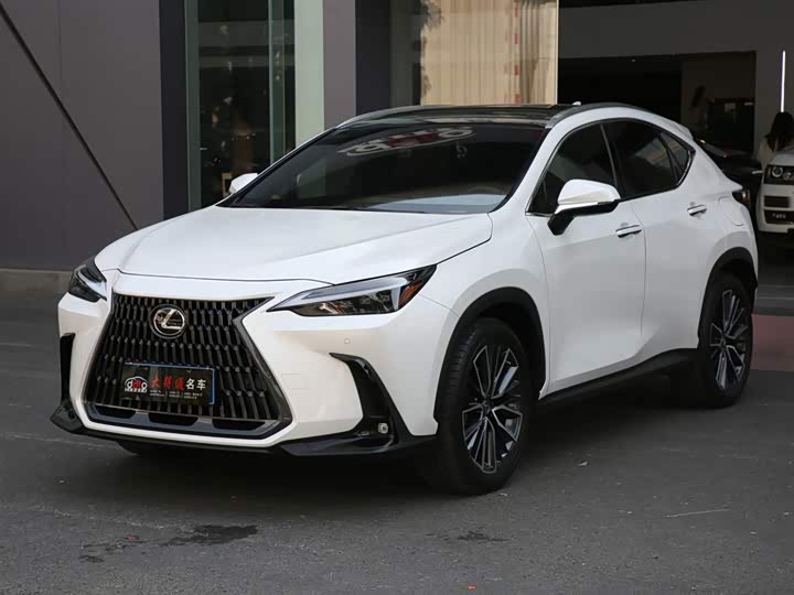 Фото 1 - Lexus NX