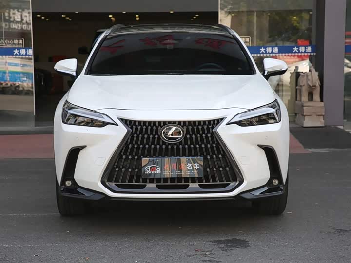 Фото 2 - Lexus NX