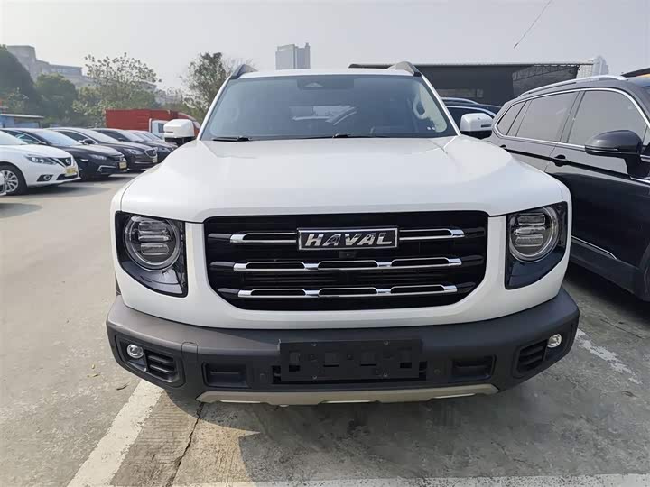 Фото 3 - Haval Dargo