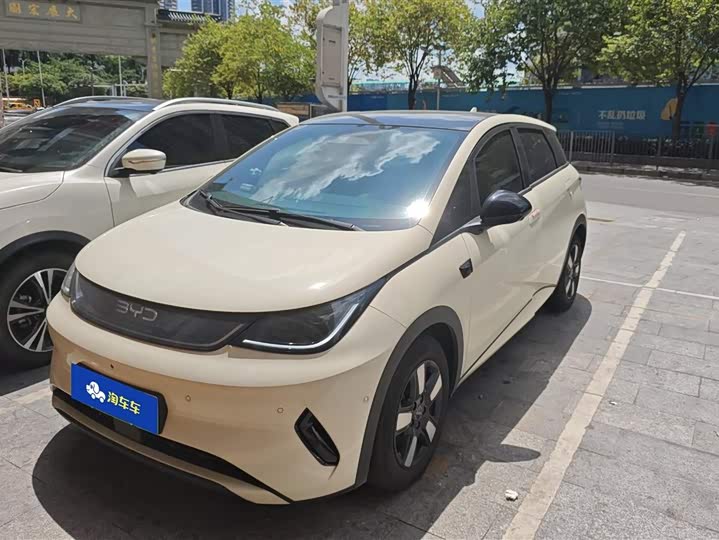 Фото 1 - BYD Dolphin