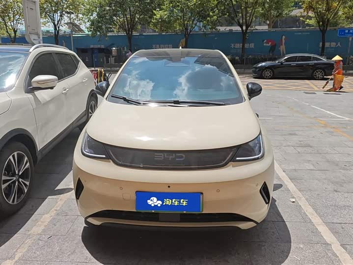 Фото 2 - BYD Dolphin