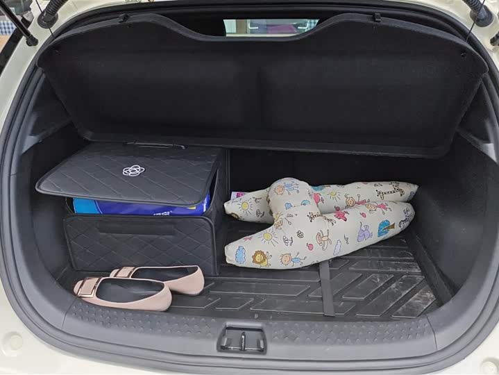 Фото 4 - BYD Dolphin