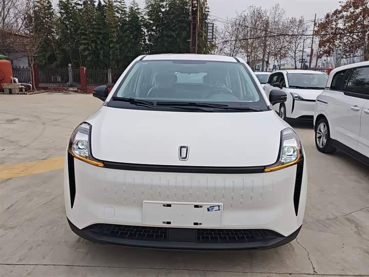 Фото 3 - Bestune NAT