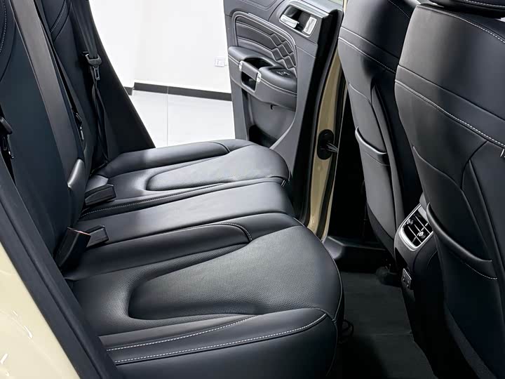 Фото 7 - Tank 300 Hybrid