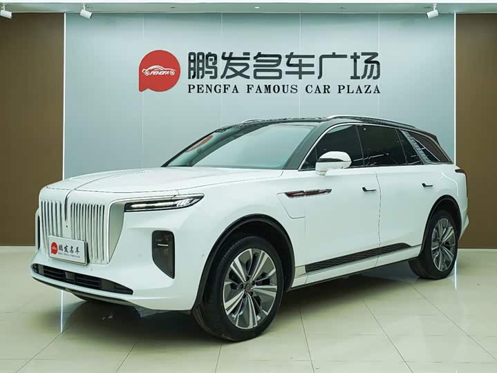 Фото 1 - Hongqi E-HS9