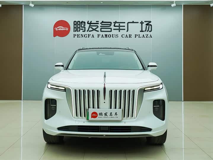 Фото 2 - Hongqi E-HS9
