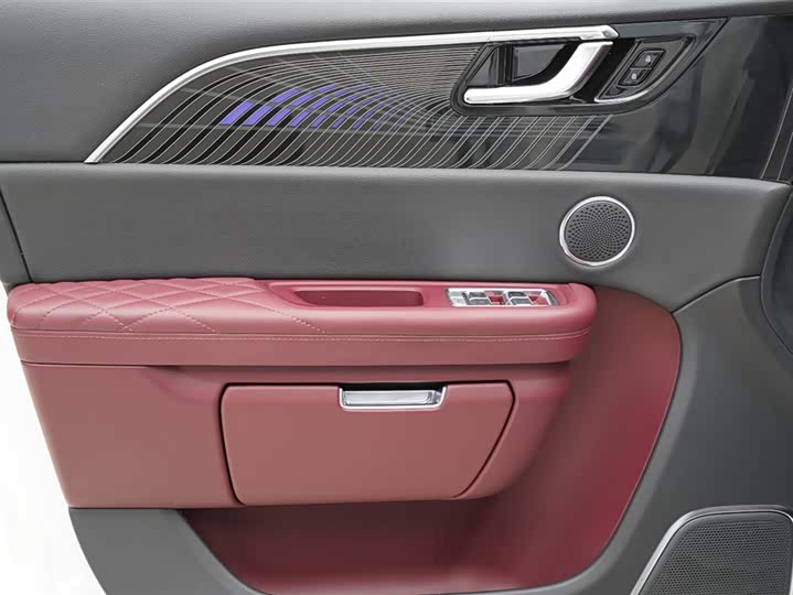 Фото 5 - Hongqi E-HS9