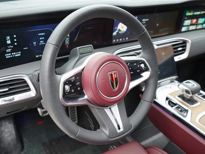 Фото 7 - Hongqi E-HS9