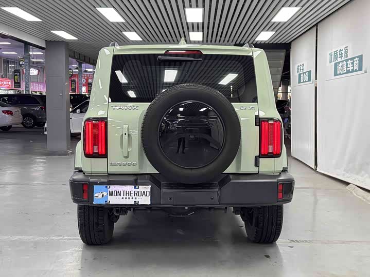 Фото 6 - Tank 300