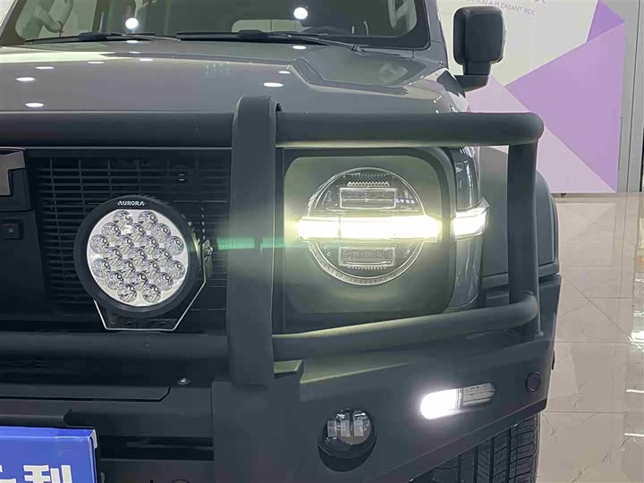 Фото 4 - Tank 300