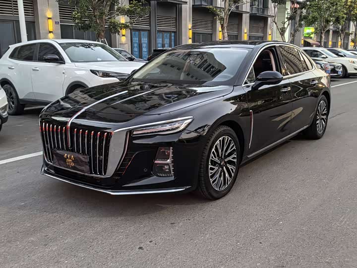 Фото 1 - Hongqi H5