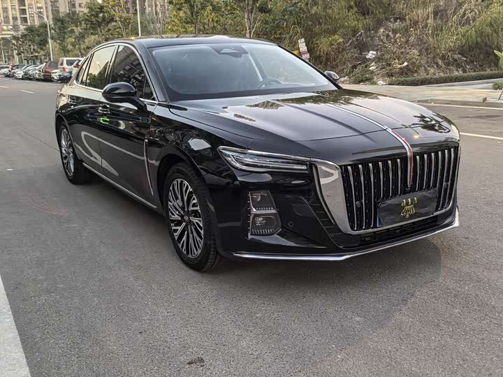 Фото 3 - Hongqi H5