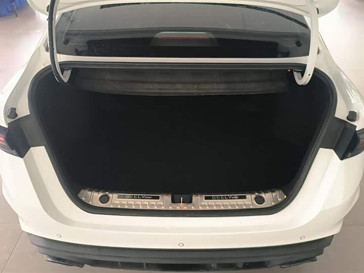 Фото 4 - Geely Binrui