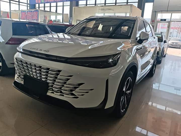 Фото 1 - Beijing X7