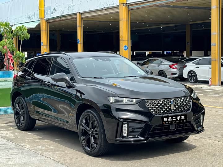 Фото 3 - Wey VV7