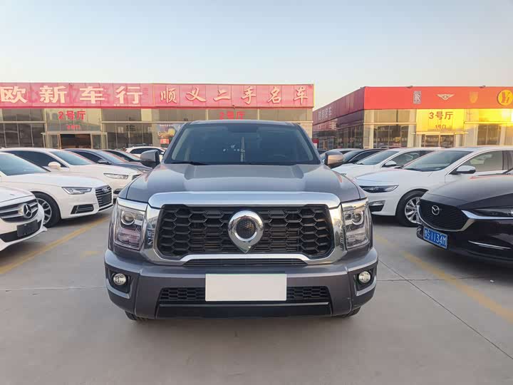 Фото 2 - Great Wall King Kong Poer