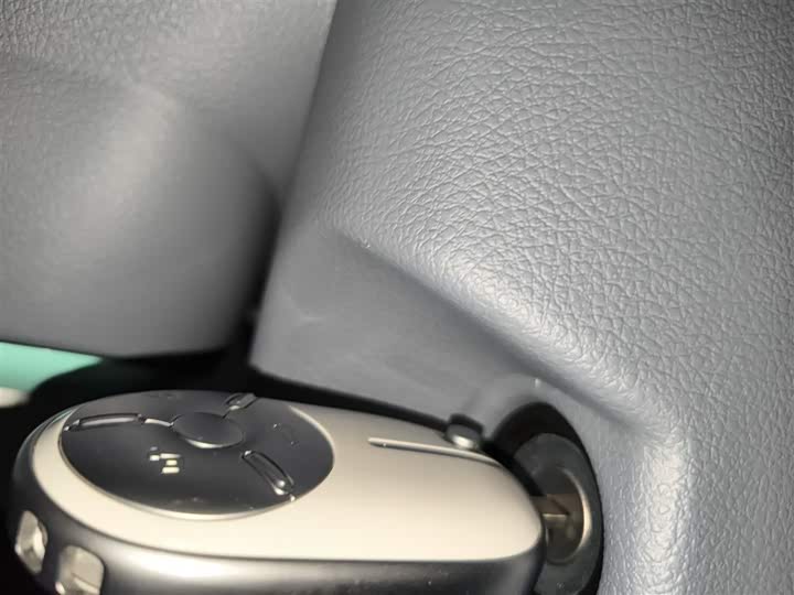 Фото 9 - Bestune Pony