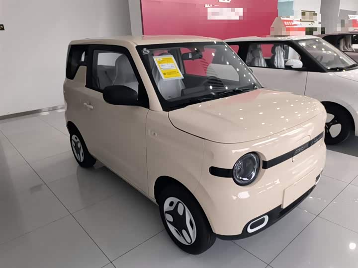 Фото 4 - Geely Galaxy Panda Mini