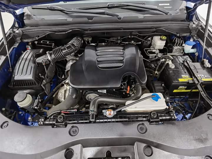 Фото 6 - Great Wall Pao