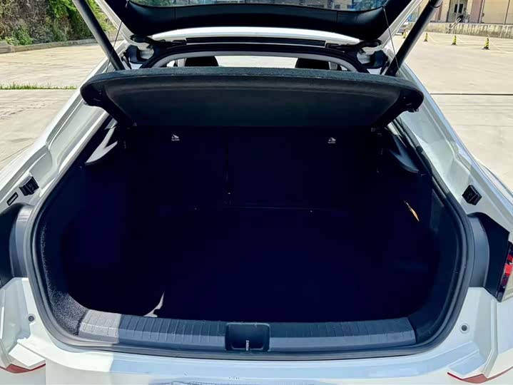 Фото 4 - Volkswagen Lamando L