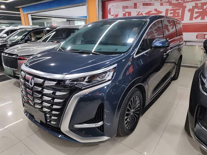 Фото 2 - Denza D9