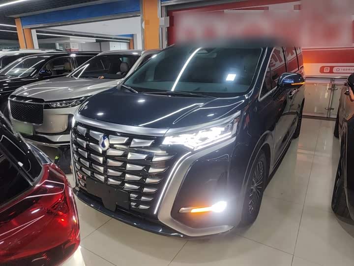 Фото 3 - Denza D9