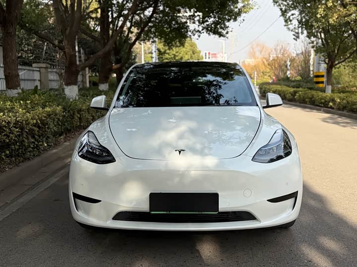 Фото 2 - Tesla Model Y