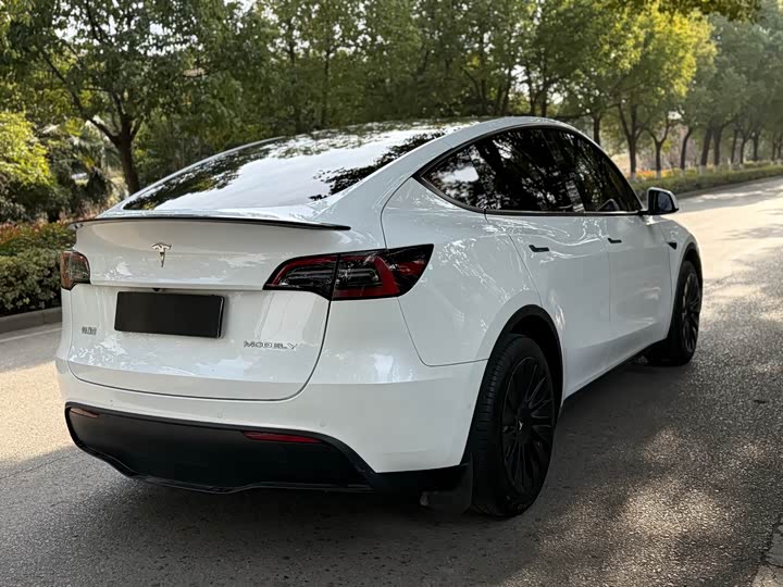 Фото 7 - Tesla Model Y