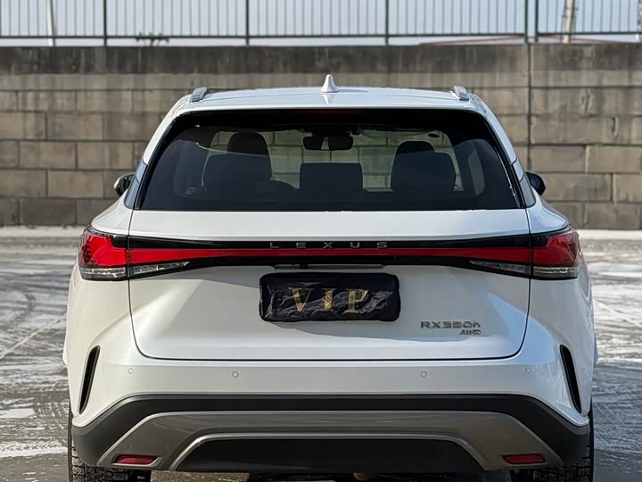 Фото 5 - Lexus RX