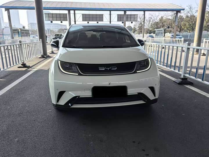 Фото 5 - BYD Dolphin