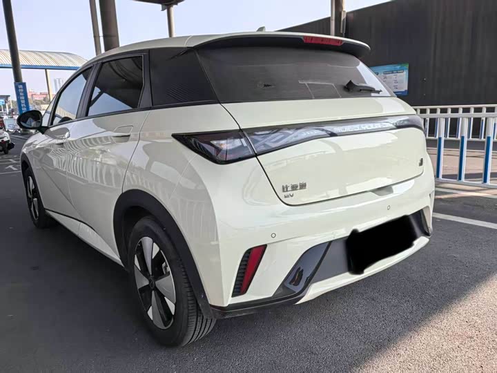 Фото 6 - BYD Dolphin