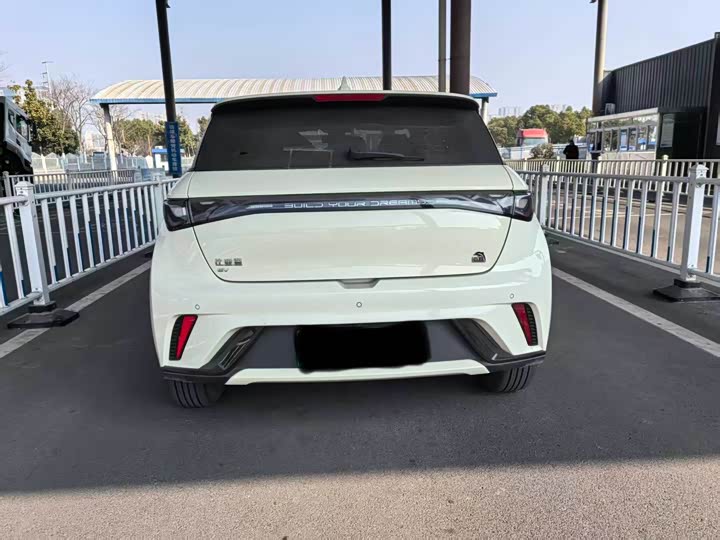 Фото 7 - BYD Dolphin