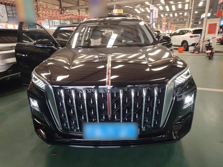 Фото 3 - Hongqi HS5