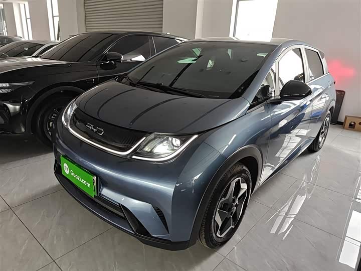 Фото 2 - BYD Dolphin
