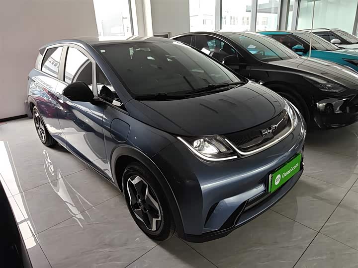 Фото 4 - BYD Dolphin