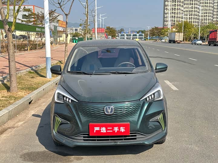 Фото 1 - Changan BenBen E-Star