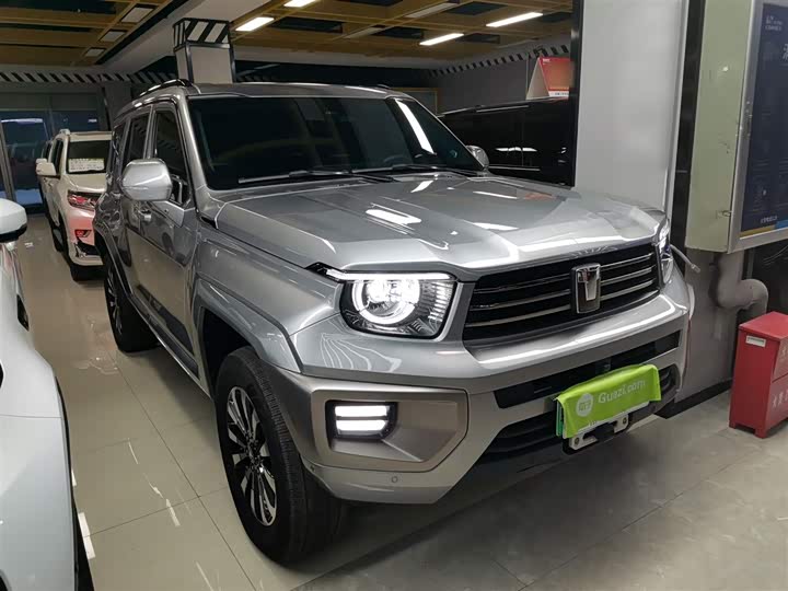 Фото 4 - Tank 700 Hybrid