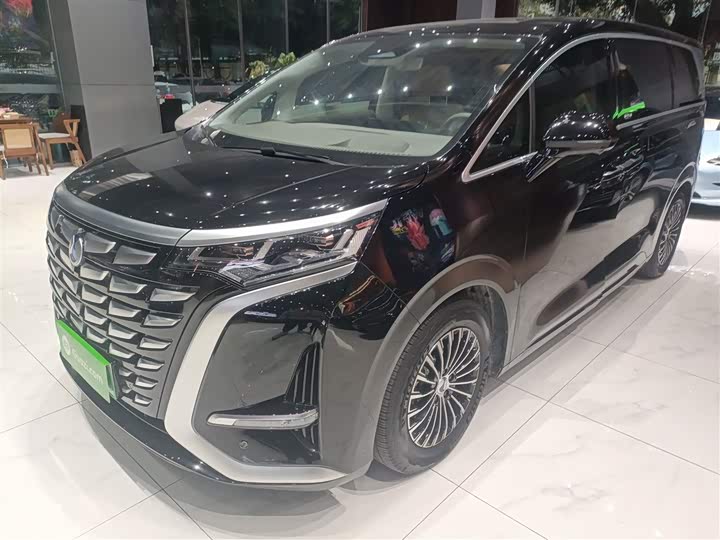 Фото 2 - Denza D9