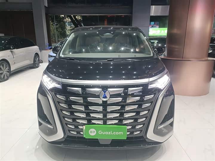 Фото 3 - Denza D9