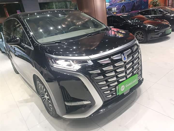 Фото 4 - Denza D9