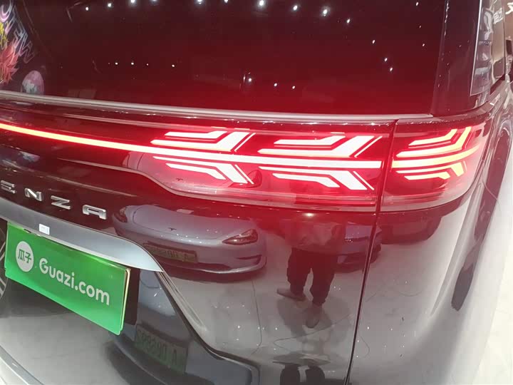 Фото 8 - Denza D9