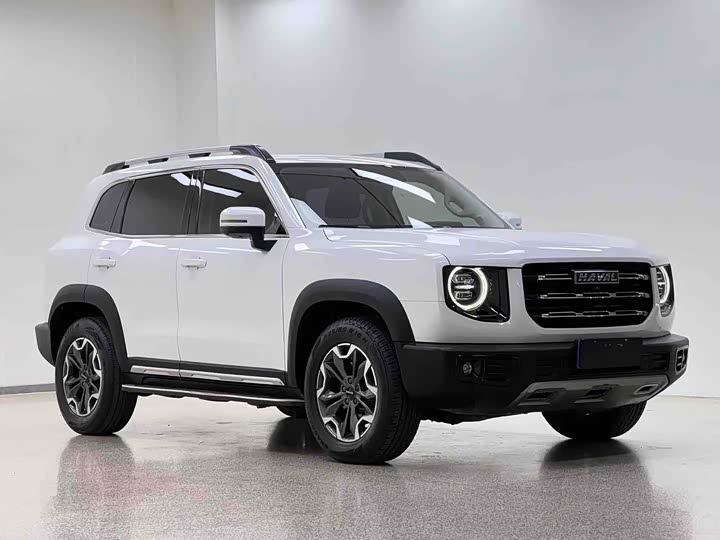 Фото 3 - Haval Dargo