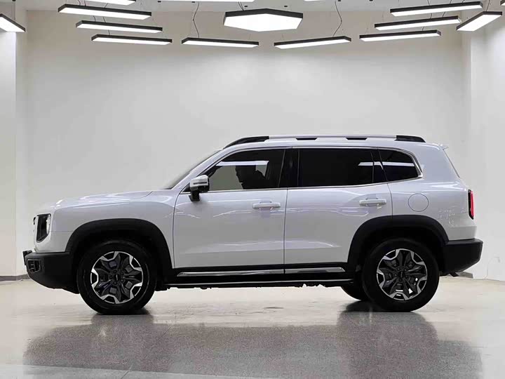 Фото 4 - Haval Dargo