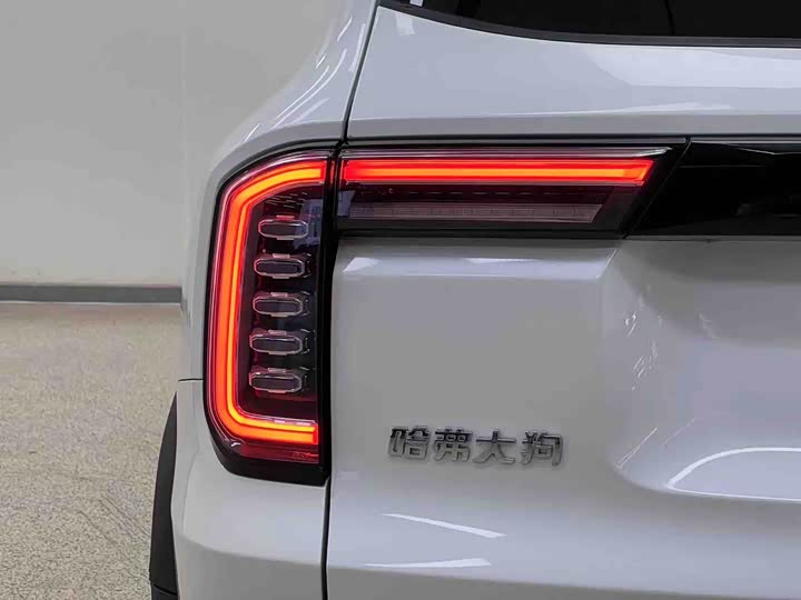 Фото 8 - Haval Dargo