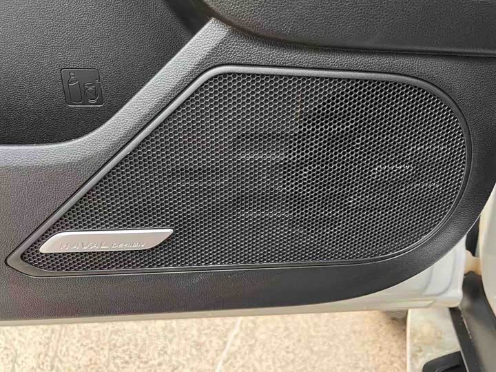 Фото 9 - Haval Dargo