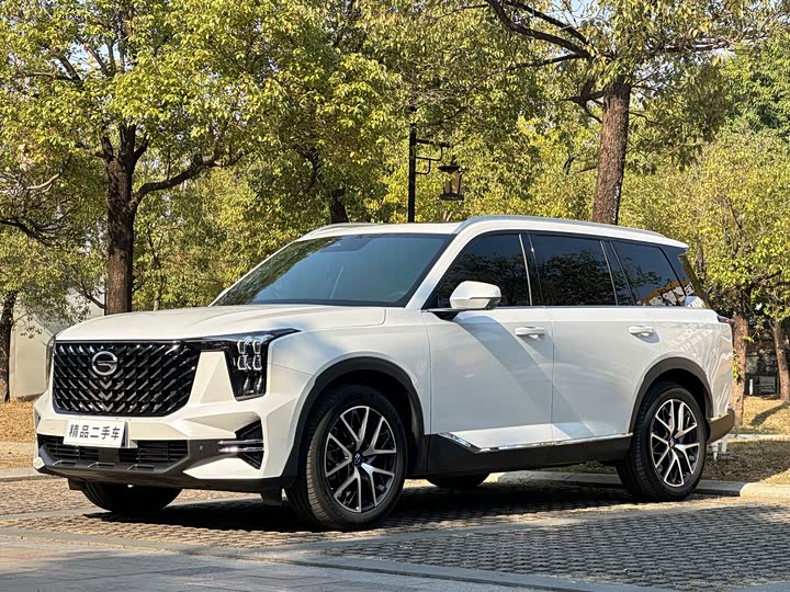 Фото 1 - GAC Trumpchi GS8